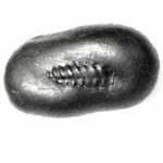 Baavan / Vamana Avatar Shaligram