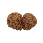Gaurishankar Rudraksha - Image 2