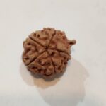 Ganesh Rudraksha - Image 5