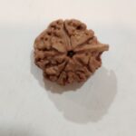 Ganesh Rudraksha - Image 3