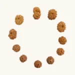 Rudraksha bracelet