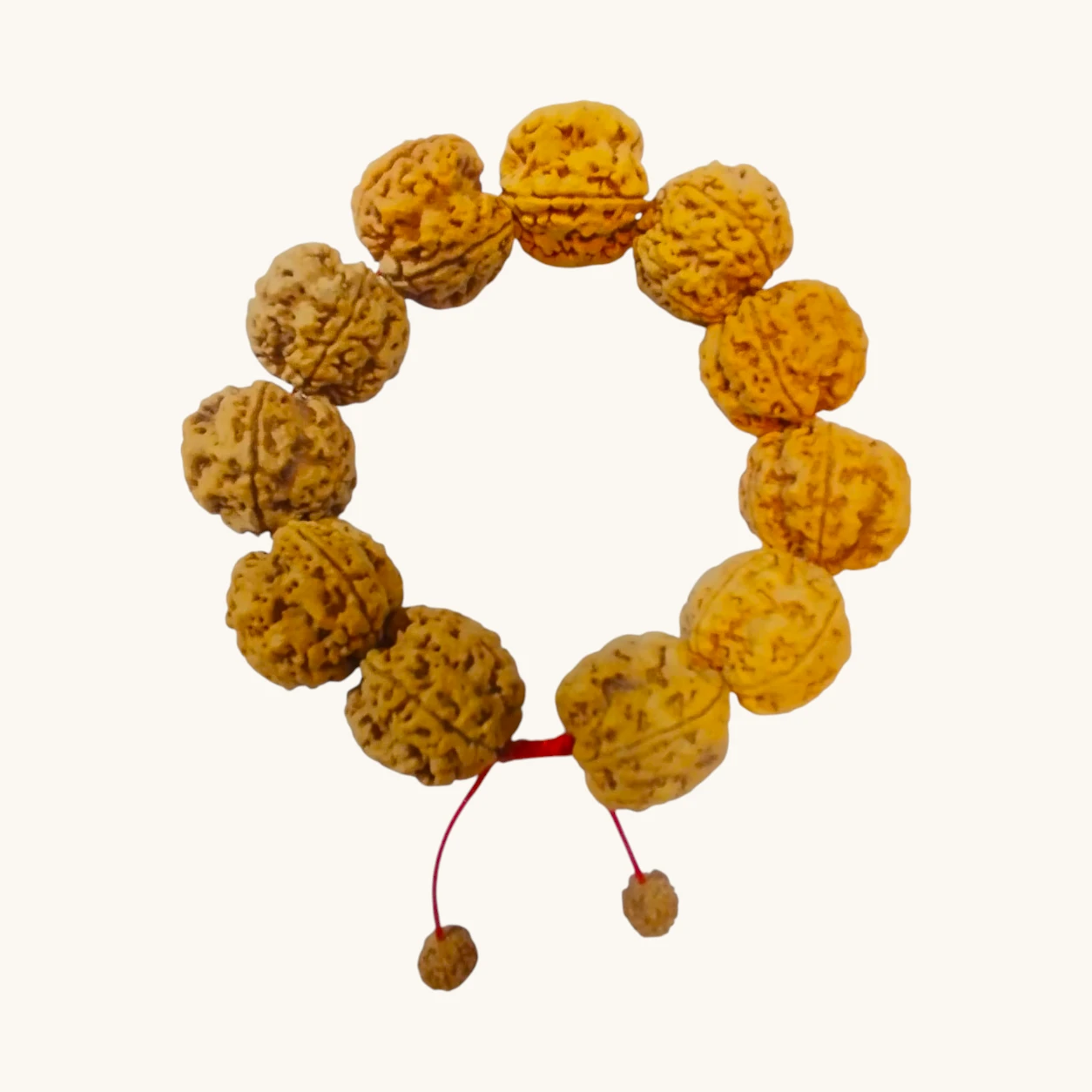 Sidhda Mala (26) Rudraksha bracelet - Image 1